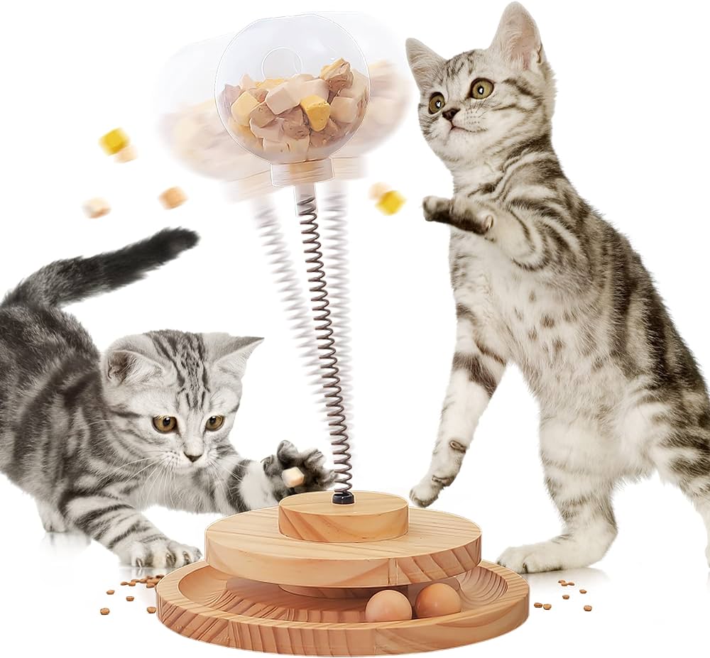 Meeting the Needs of Indoor Cats